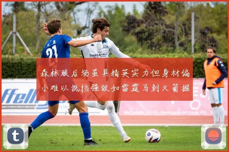 森林狼后场虽具精英实力但身材偏小难以抵挡强敌如雷霆马刺火箭掘金